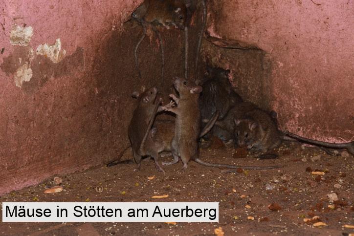 Mäuse in Stötten am Auerberg